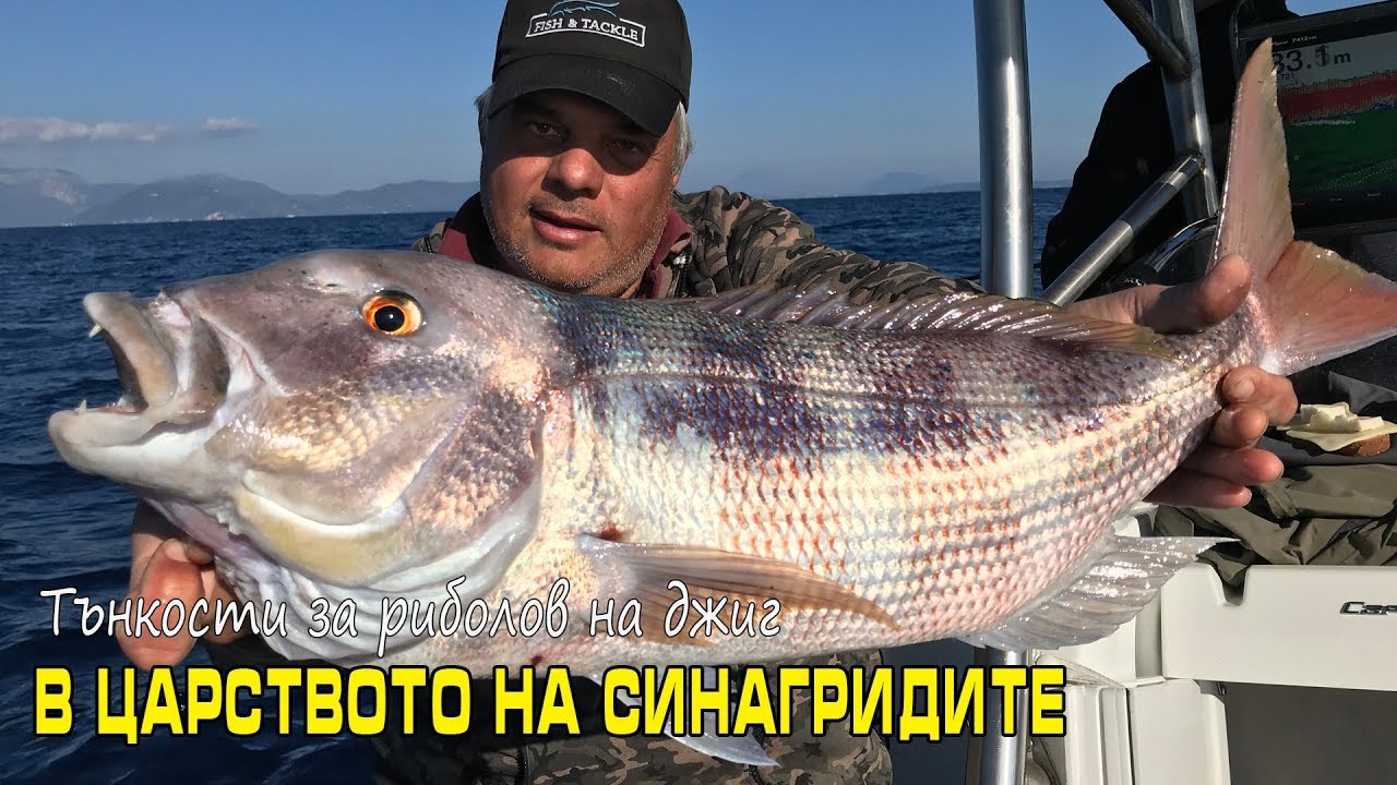 В царството на синагридите