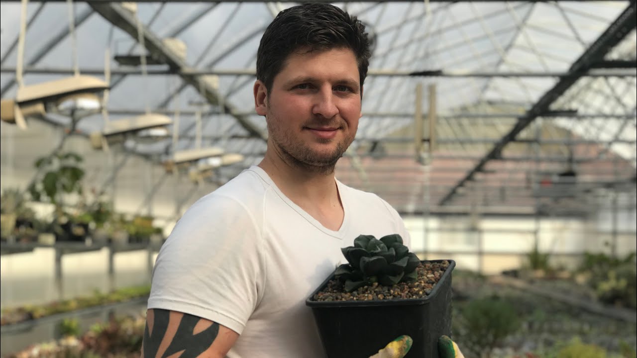 Коллекция Хавортий Мастера Георгия Аристова. Haworthia collection in Russia. 07.11.2020