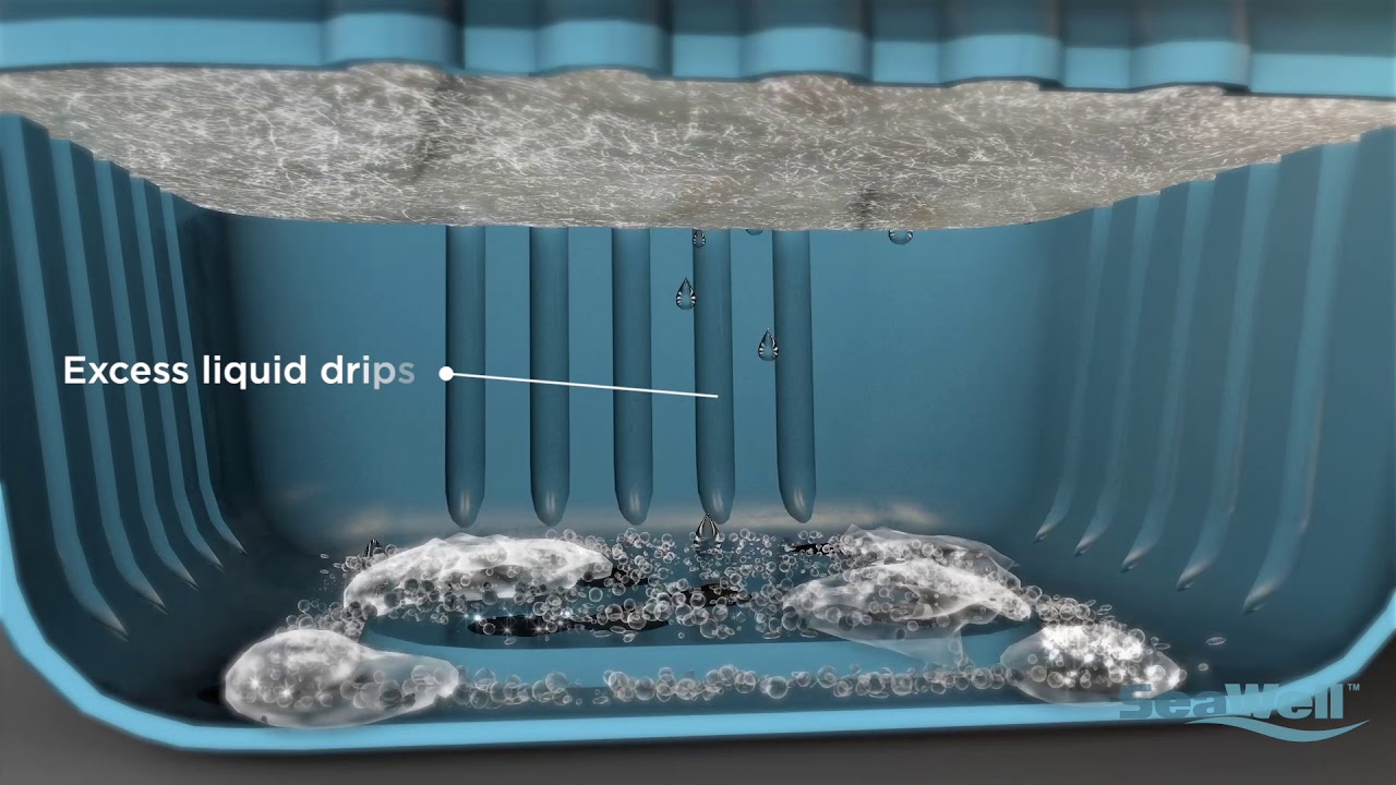 Inside Look of SeaWell™