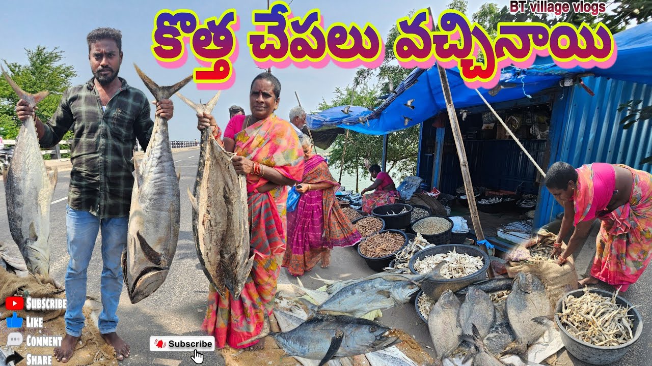 చాలా రకాల ఎండు చేపలు వచ్చినాయి #penumudi #village #dryfish #dryprawns #dryfishcutting #fish #fishing