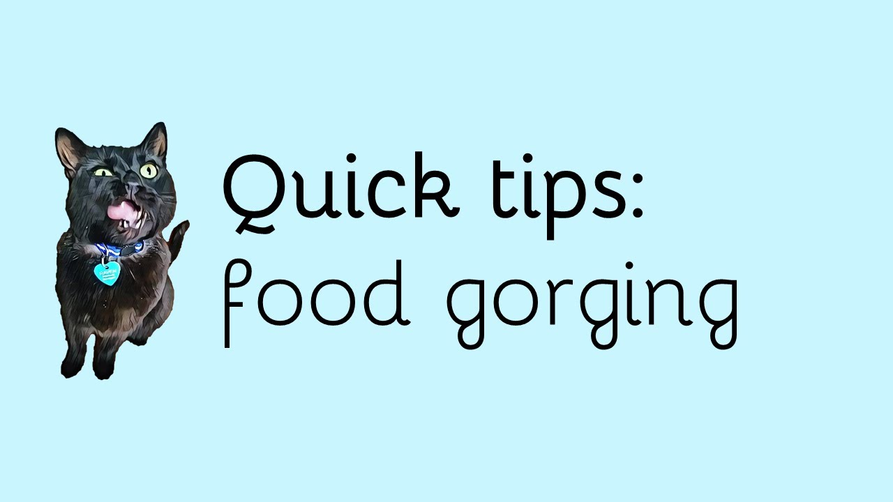 Food gorging