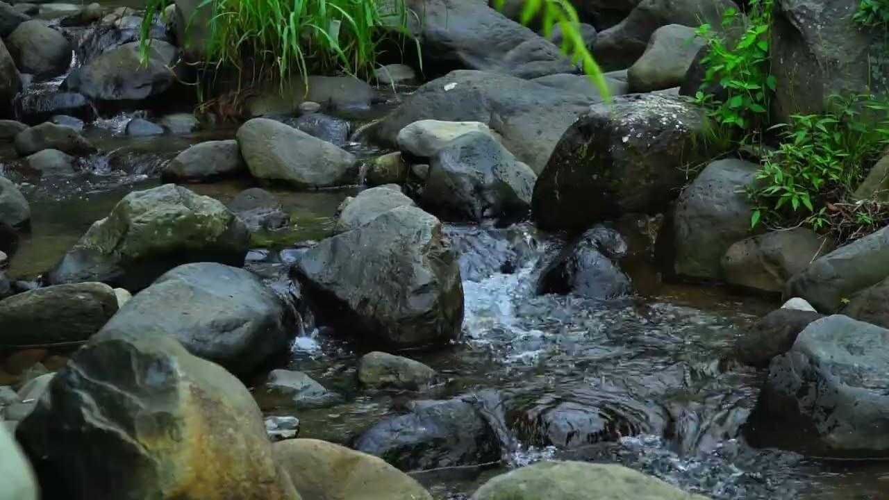 Calm River Sounds for Studying and Focus | Peaceful Flowing Water Sounds