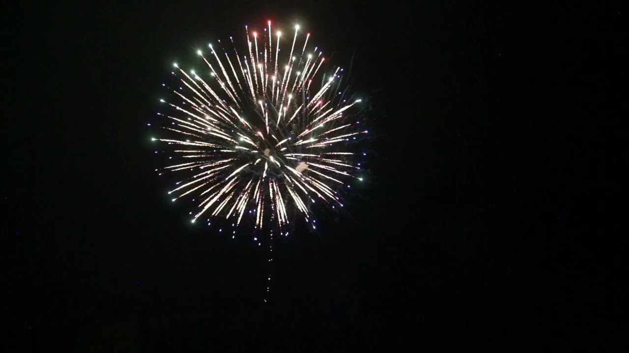 U-6AST-A 6'' Union Display Shells w tails, Assortment A Lynch Imports 2024 Demo