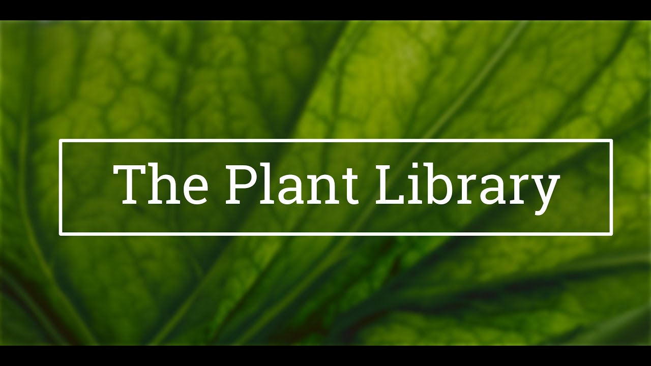 Introduction to The Plant Library