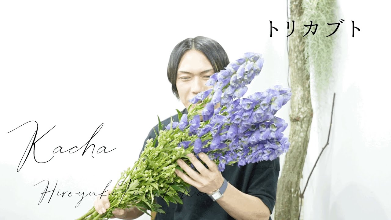 【花屋】植物界最強の毒花トリカブトの魅力と解説　投げ入れをする