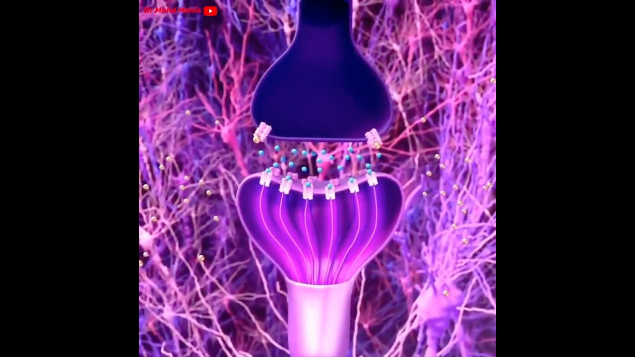 Drug💊 Addiction 💉In The Brain Animation,,,,,,