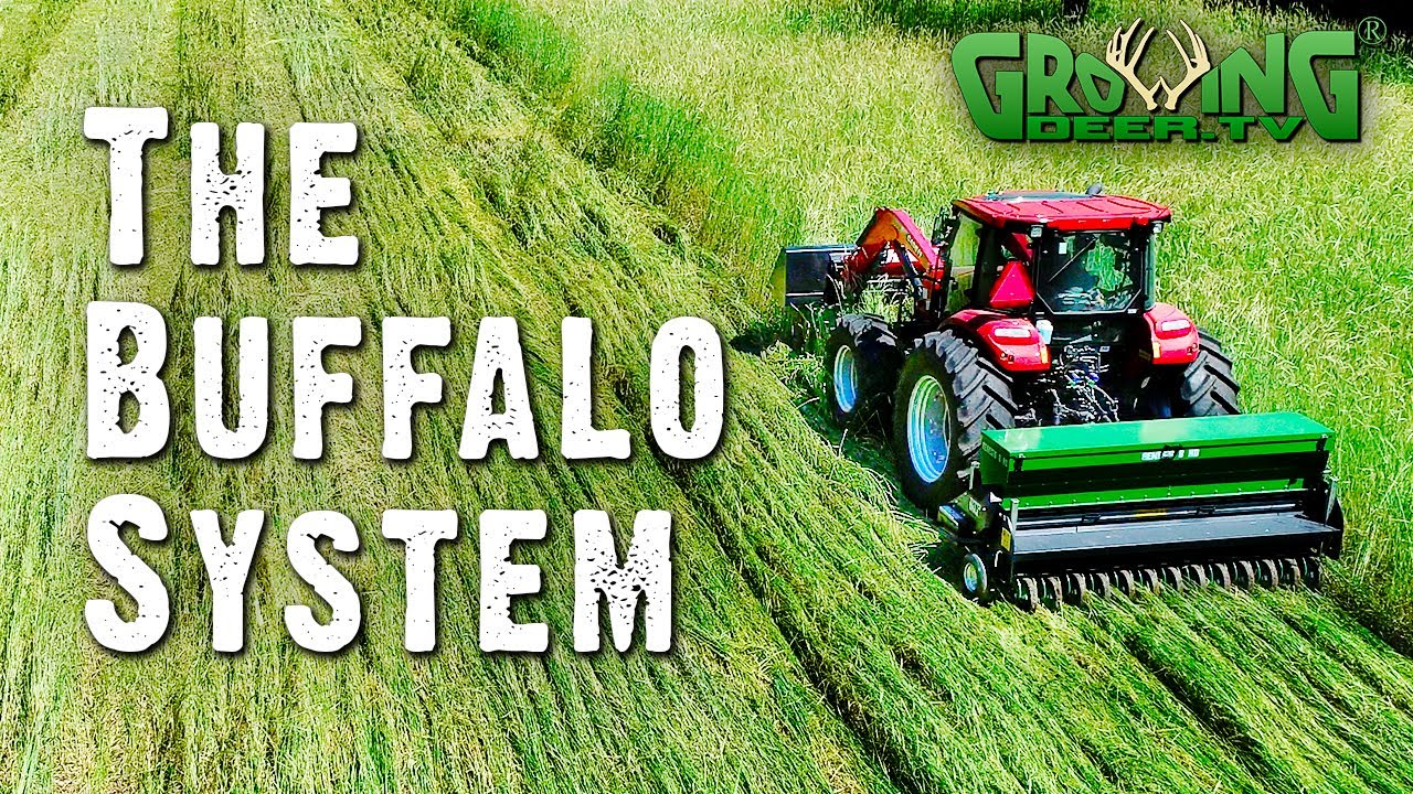 Best Food Plots: The Benefits of the No-Till Buffalo System (#553)
