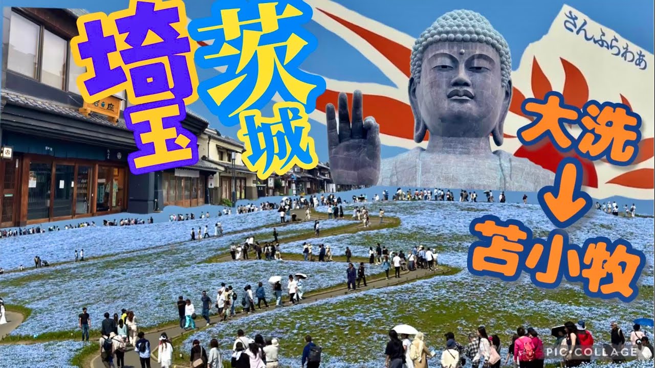 【さんふらわあ(大洗→苫小牧)】＜1泊3日＞  埼玉＆茨城観光「川越グルメ・地酒・絶景・鉄道」【女ひとり旅】