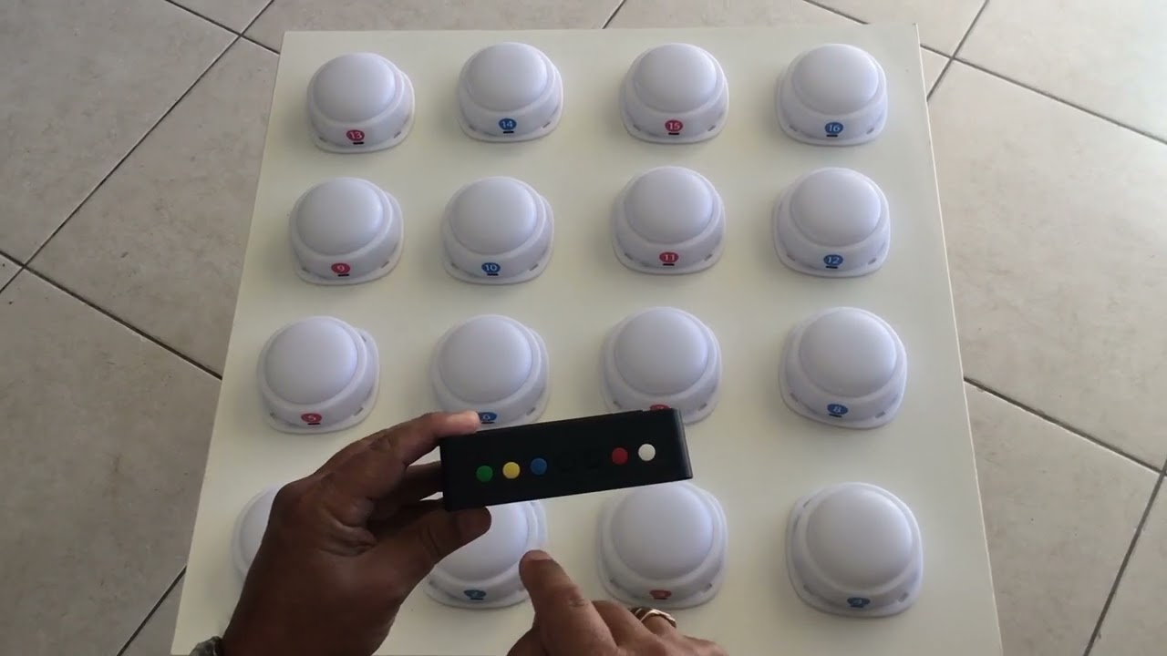 PR&Eacute;SENTATION MULTIBUZZ