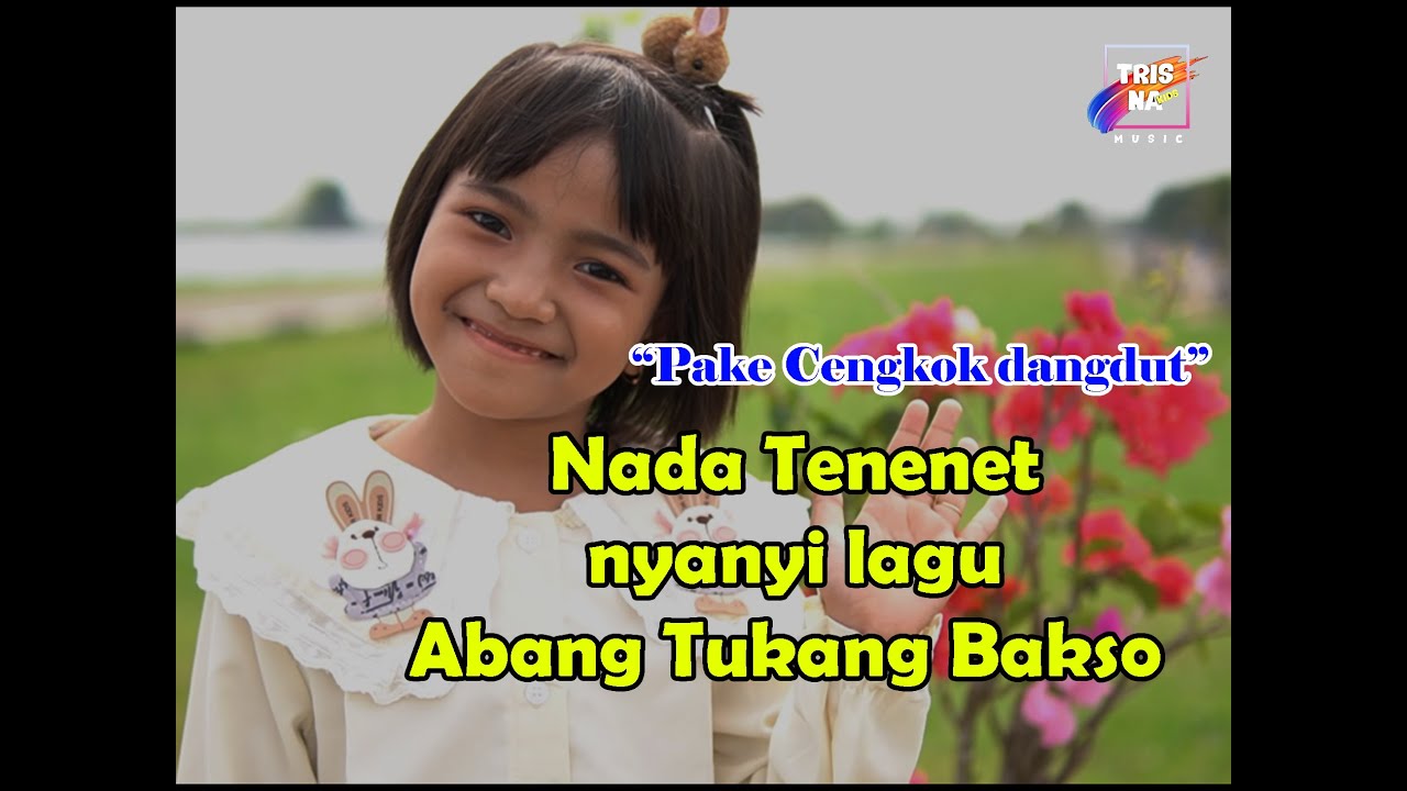 ABANG TUKANG BAKSO - NADA TENENET COVER MUSIC