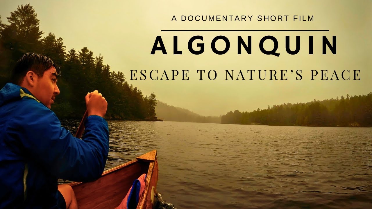ALGONQUIN | Escape to Nature’s peace | Documentary Short Film | 4K60fps