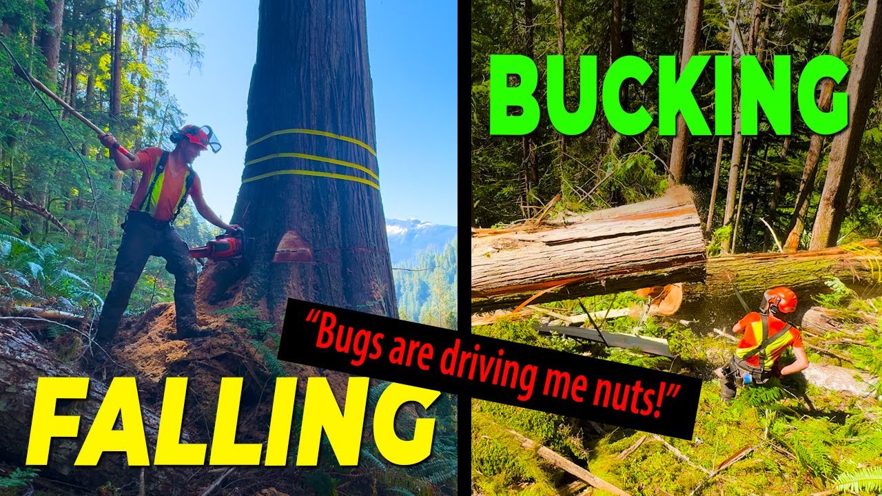 136. Big Cedar’s & Never Ending  Bug  Attacks
