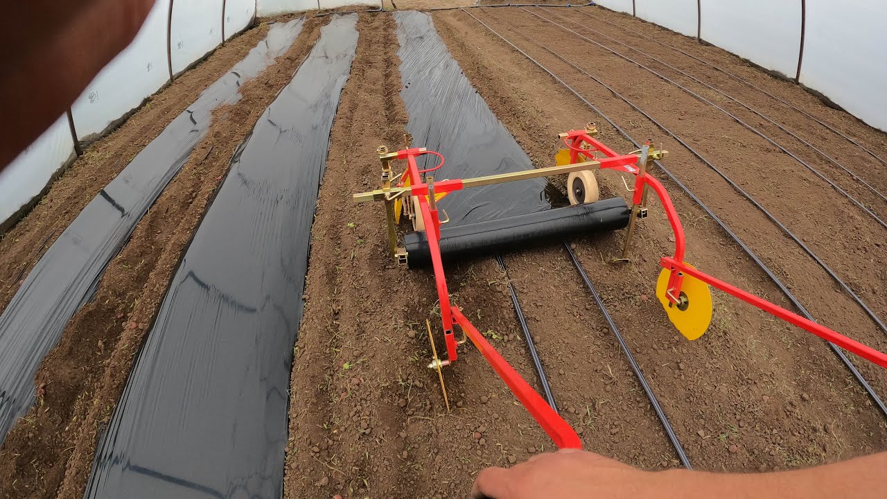 Pregătirea solului pentru plantarea tomatelor. 🍅🚜👨‍🌾
