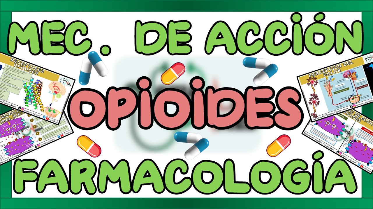 OPIOIDES MECANISMO DE ACCIÓN FARMACOLOGÍA | GuiaMed