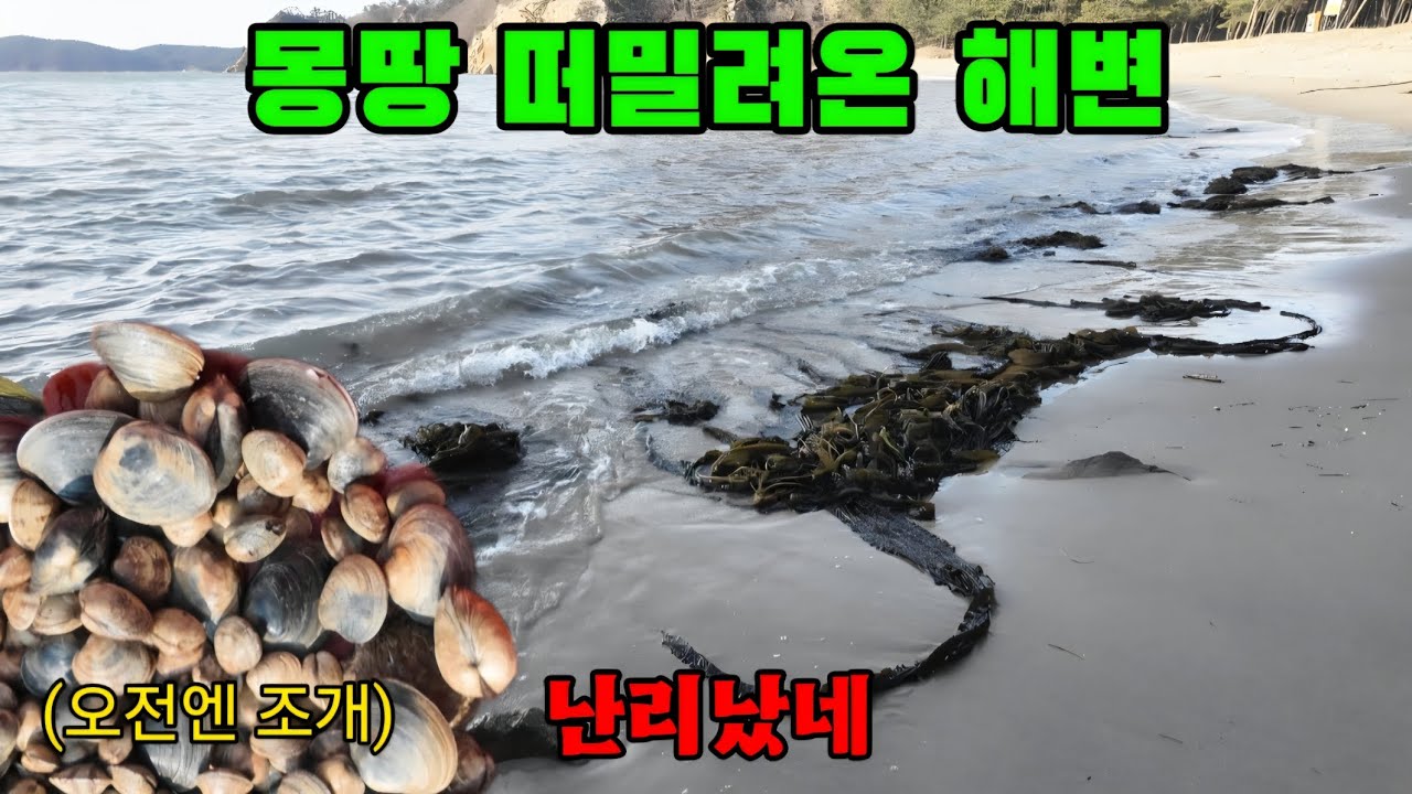 현재 태안상황! 태안바다에 나가면 여기저기 난리납니다