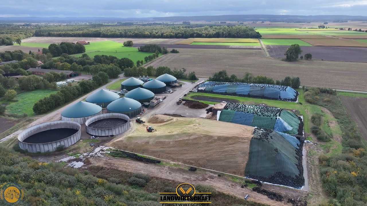 Es ist so viel Masse! Wir schieben wie verrückt Großeinsatz Mais schieben & Walzen LU Große Bohne