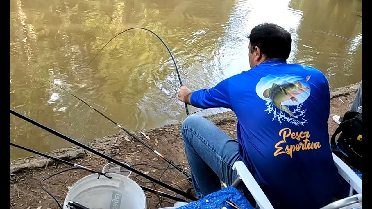 NUNCA VI TANTO PIAPARÃO NA VARA DE MÃO!