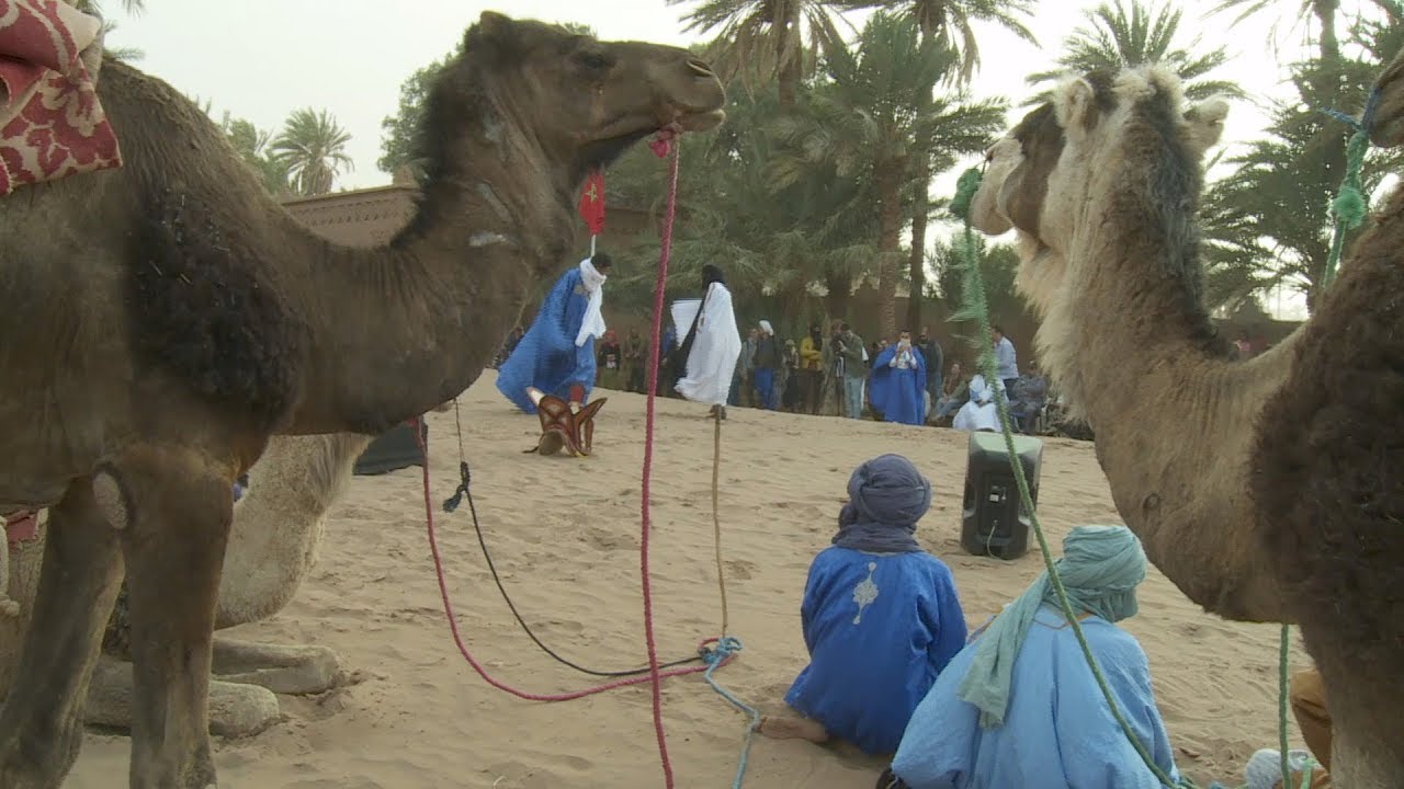 المهرجان الدولي للرحل بمحاميد الغزلان .. موعد ثقافي سنوي في خدمة التنمية المحلية