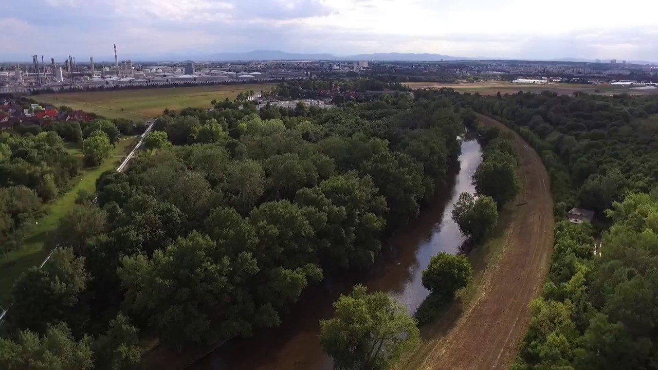 Drohnenflug über der Schwechat (Fluss)