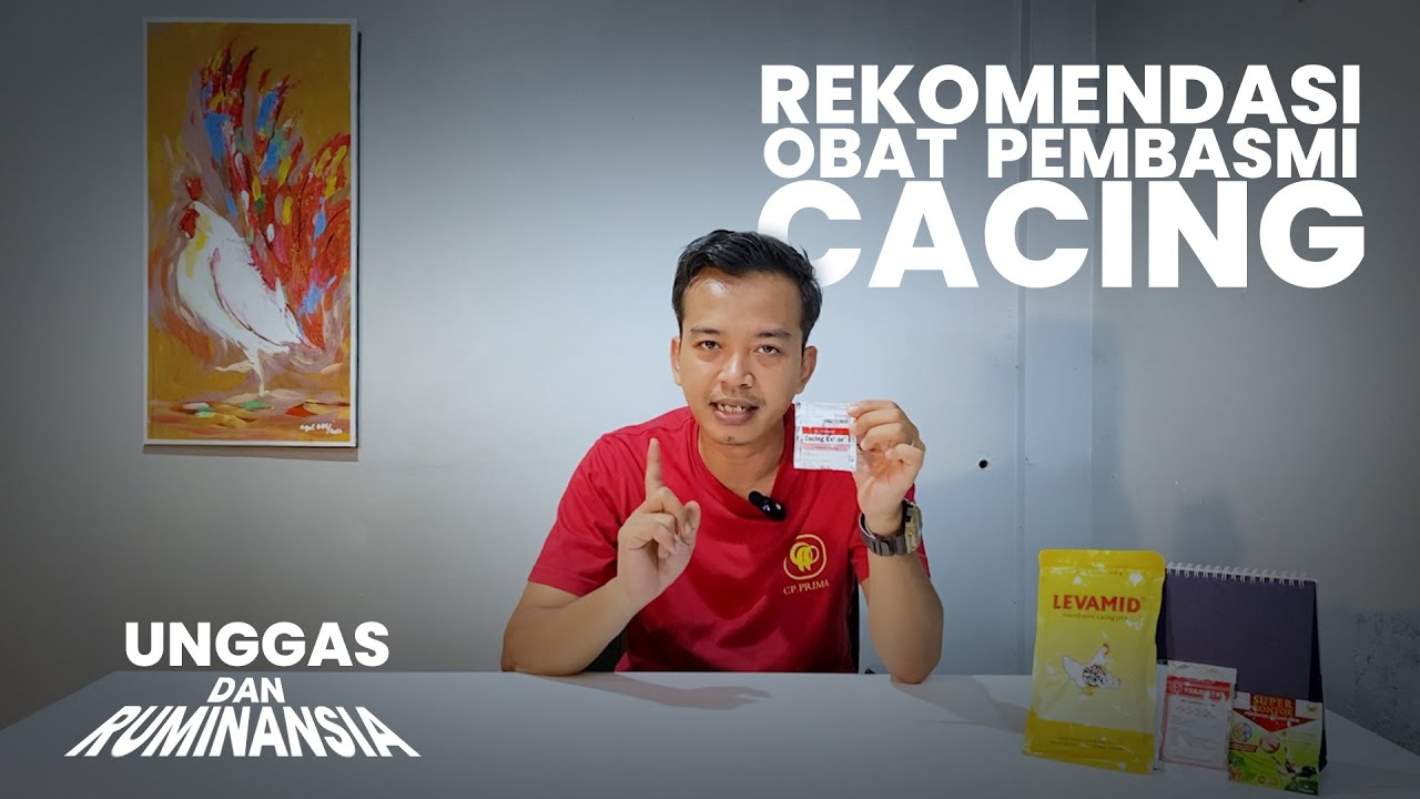 CACINGAN?? OBAT PEMBASMI CACING UNTUK TERNAK MULAI TERLARIS SAMPAI TERMAHAL | KOMPARASI OBAT CACING