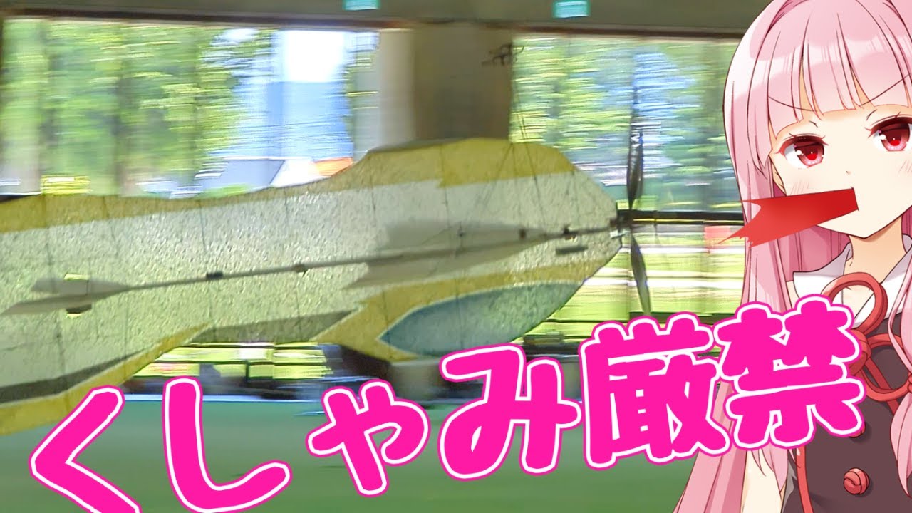 ４５グラムの屋内用スタント機 F3P ラジコン飛行機