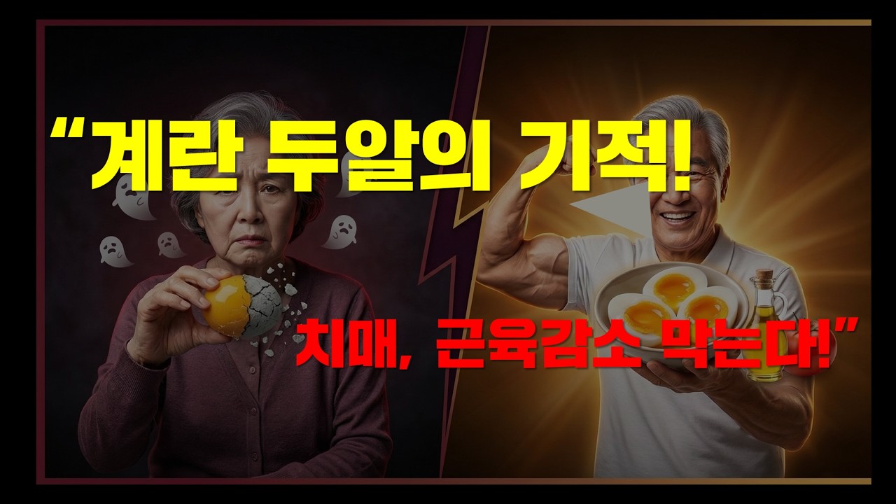 계란 노른자 콜레스테롤의 거짓말! #계란의효능#삶은계란영양#계란노른자콜레스테롤#치매에좋은음식#근육늘리는법#단백질많은음식#아침공복계란#계란상극음식
