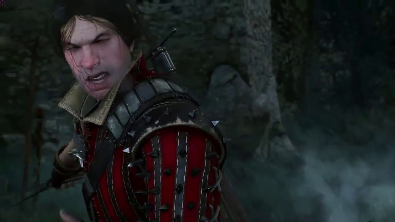 The Witcher 3: Wild Hunt Eskel vs Caranthir beautiful fight scene