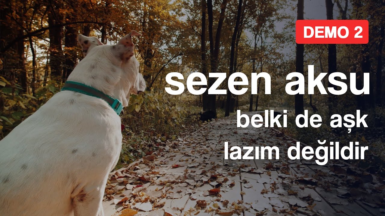 Sezen Aksu - Belki De Aşk Lazım Değildir  (Official Video)