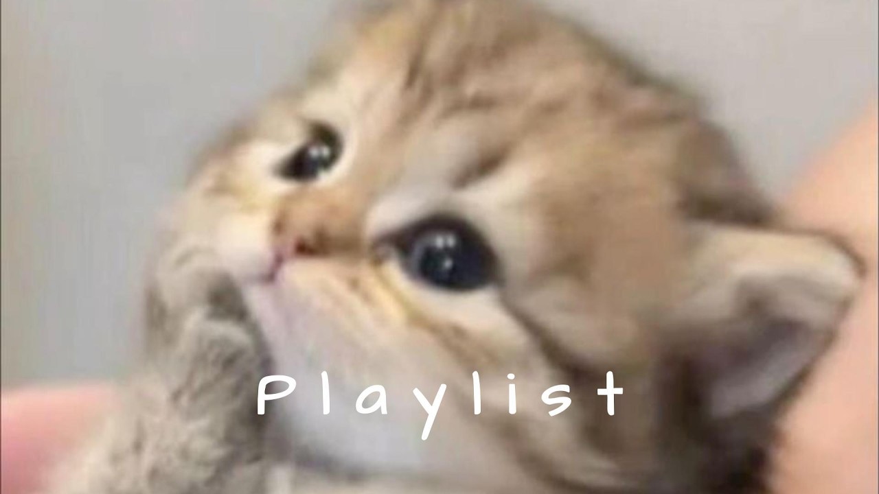 𝐏𝐥𝐚𝐲𝐥𝐢𝐬𝐭 연휴 어떻게 보낼까? 일단 이 플리부터 틀고 생각🤍🎧 | chill r&b · moody vibe