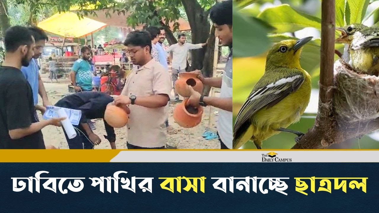 পাখির নিরাপদ আশ্রয়ের জন্য ঢাবি এলাকায় হাঁড়ি বেধে কৃত্রিম বাসা স্থাপন ছাত্রদলের | Dhaka University