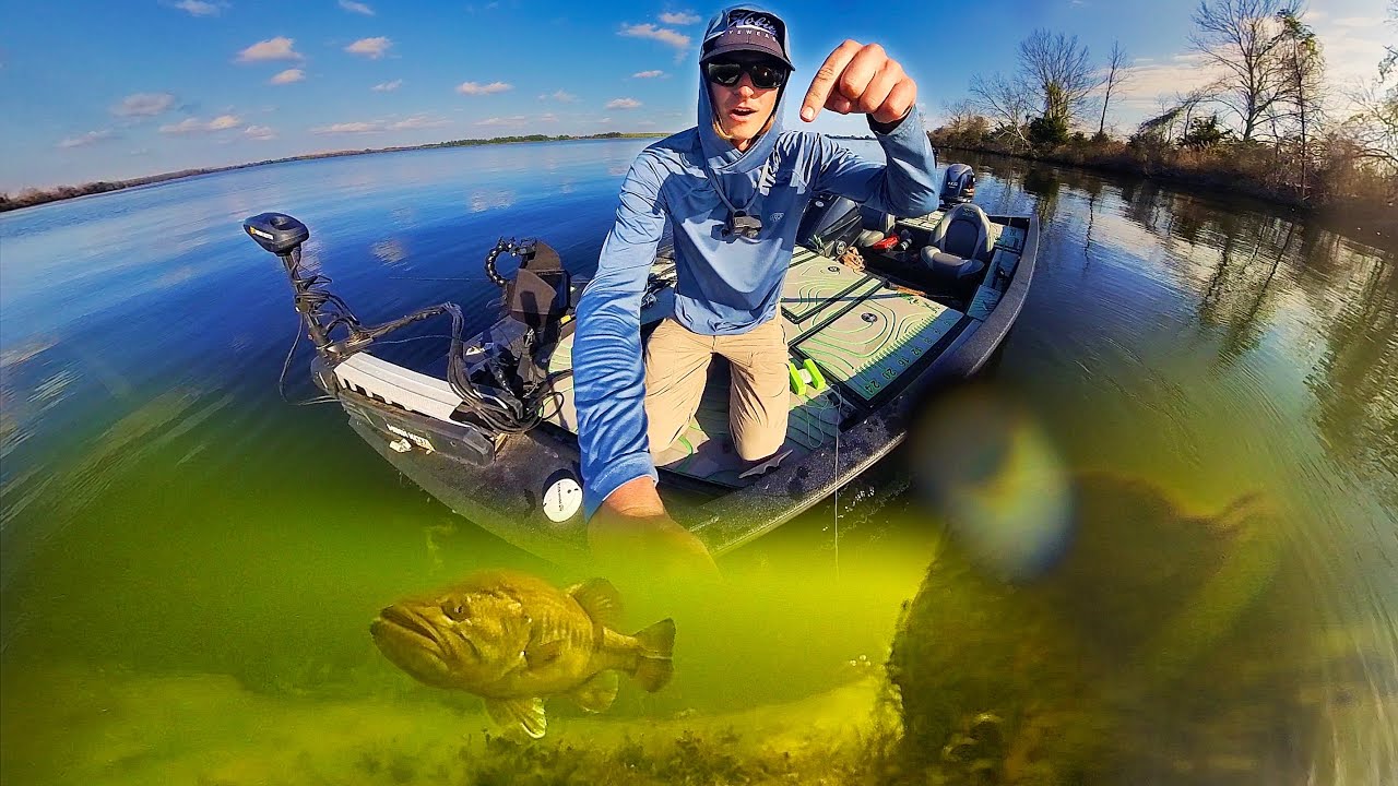 Dropping a Camera on Fish's Bed to See What REALLY Happens (Underwater Footage)