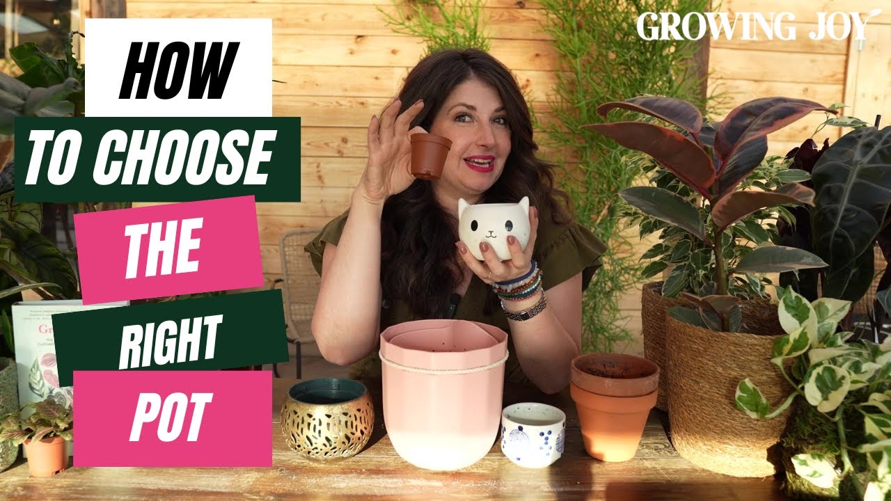 I spent 7 years testing pots for houseplants: Here's What I've Learned // Planter Review