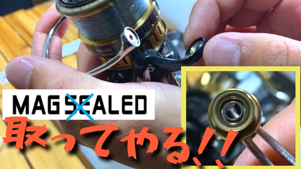 ラインローラーのマグシールドは不要なので取り除きます。ダイワの最新リールをさっそくバラシてみたが後悔は…