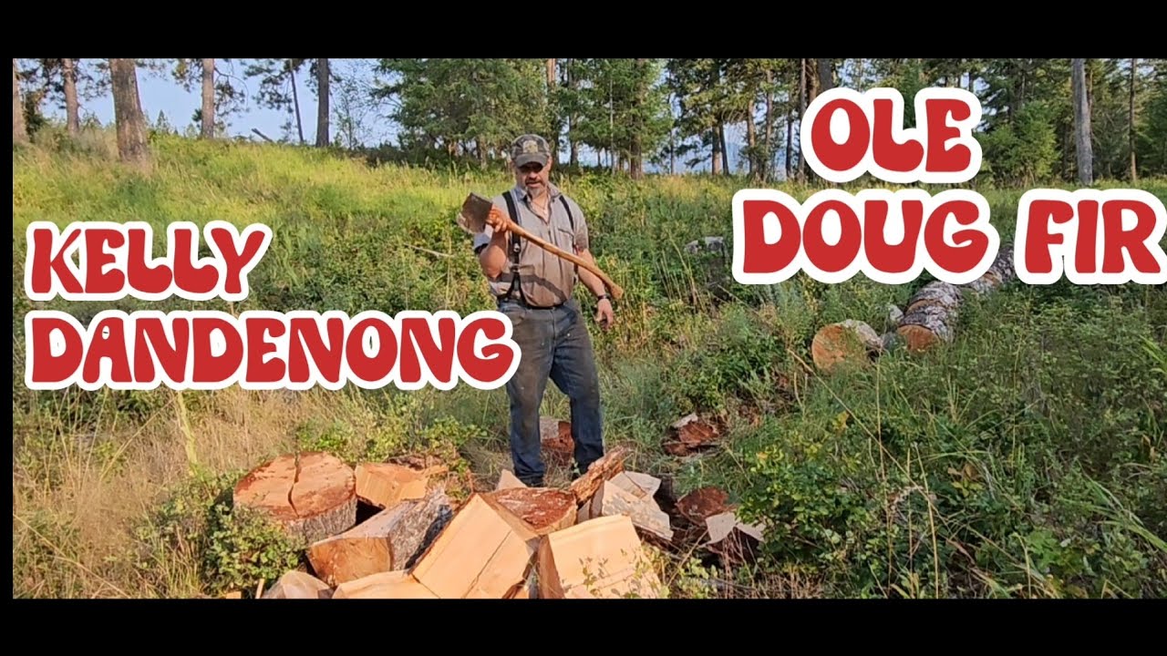 4+Pound Dandenong Tassie. SplittingDouglas Fir. #firewood #axes#chainsawman #woodsplitter #teamwork
