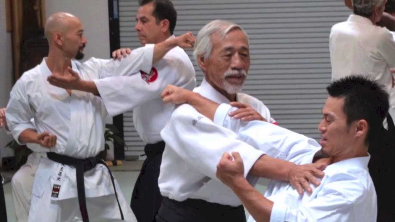Saotome Shihan Seminar 2013 Video 2