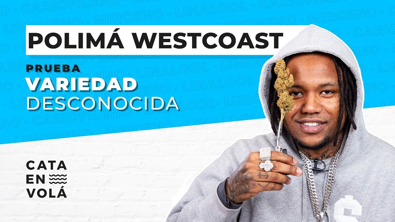 POLIMÁ WESTCOAST EN CATÁ EN VOLÁ