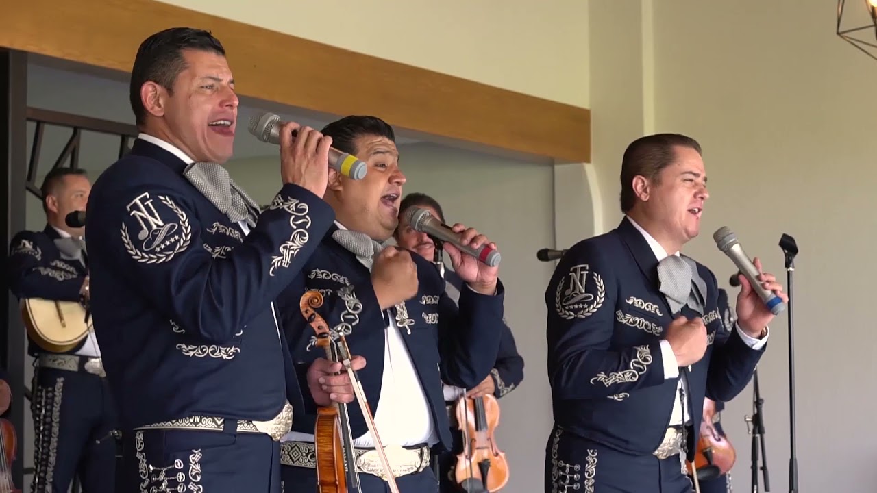 MARIACHI NUEVO TECALITLÁN / SIN FORTUNA