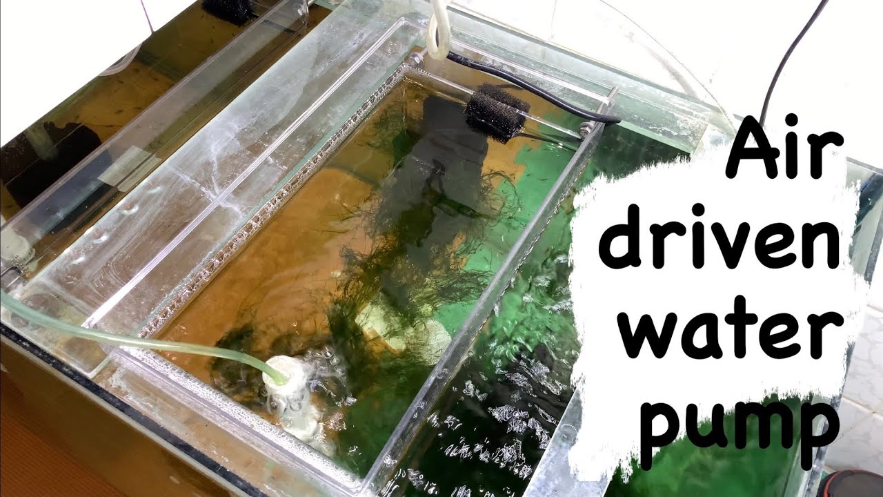 DIY Demo: Air pump powered fish fry raising system