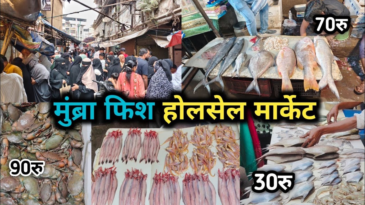 Fish wholesale market | मुंब्रा की इस गल्ली में मिलती है सबसे सस्ती मछली