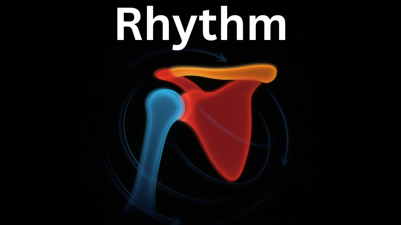 The Science Of Shoulder Movement & Dysfunction