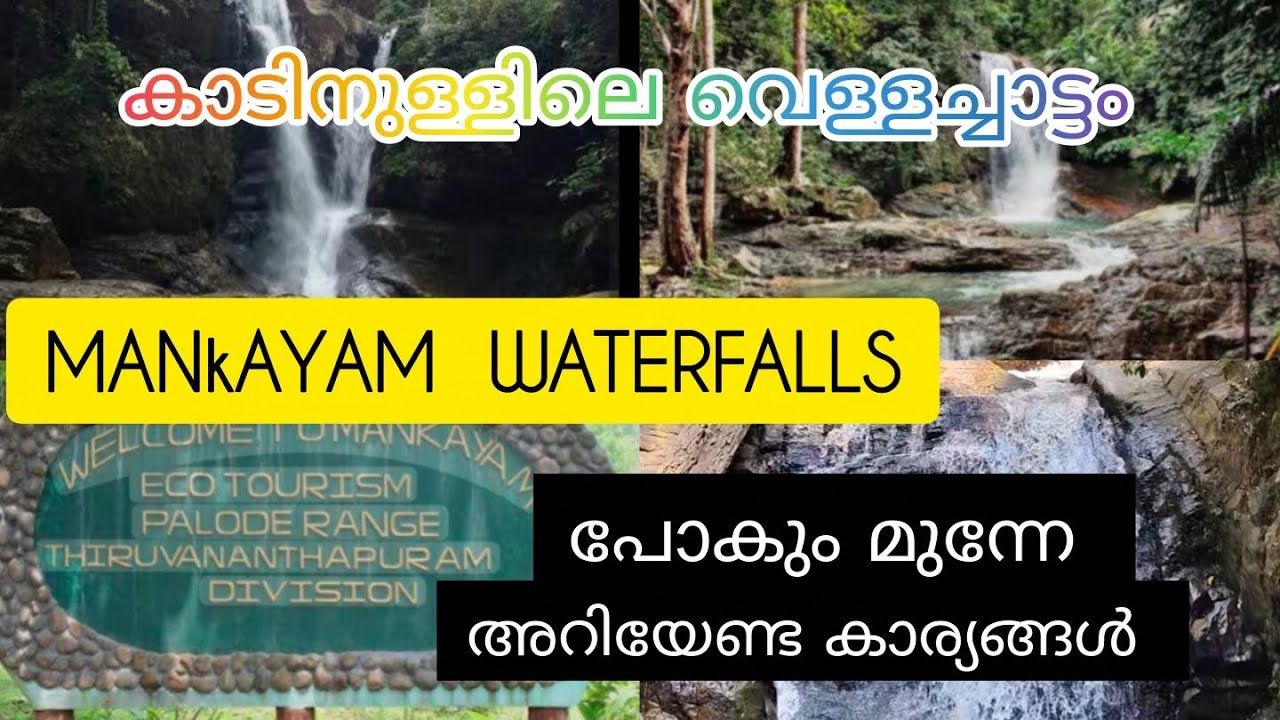 കാട്ടിനുള്ളിലെ 3 വെള്ളവചാട്ടങ്ങൾ ഒരു പുഴയിൽ അപ്പൂർവസങ്കമം |||mankayam waterfalls|||vichuz&indhuzvlog