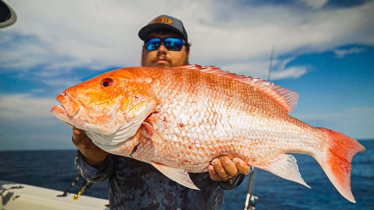 Fishing The Florida Middle Grounds For Mangroves, And Red Snapper (BONUS KINGFISH) With Capt. Blake!