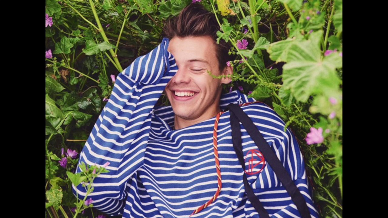 Sweet Creature - Harry Styles (Empty Arena Edit) / editedaudio