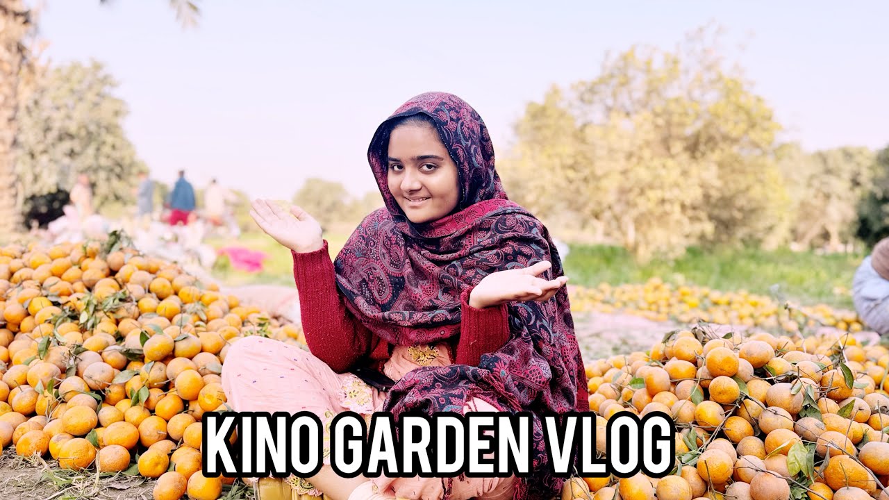 Kino Garden Vlog ||سردیوں۔ کا۔ مزیدار۔ پھل ||Raima Mariyam