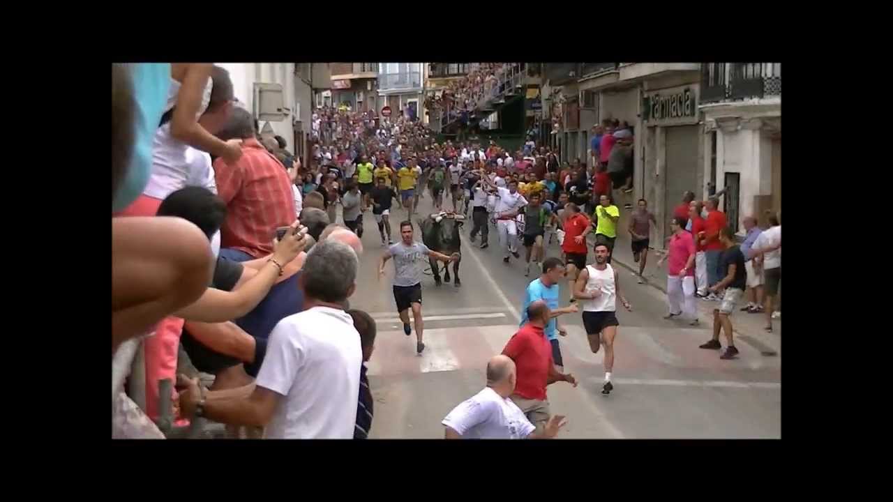 Torico de la cuerda 2013 Chiva