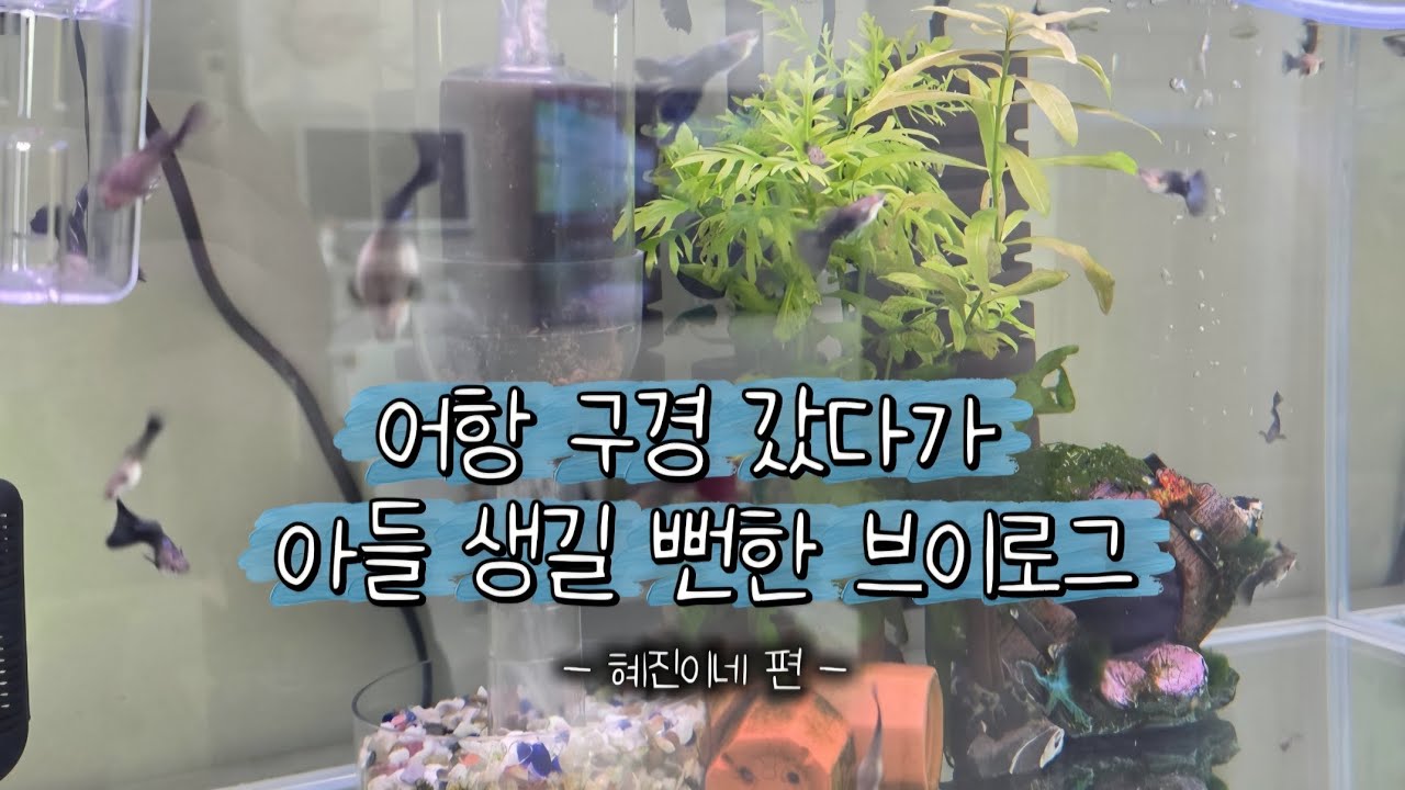 아들 둘 친구네 집 놀러 갔다가 생긴 일 | 일상 육아 브이로그 
