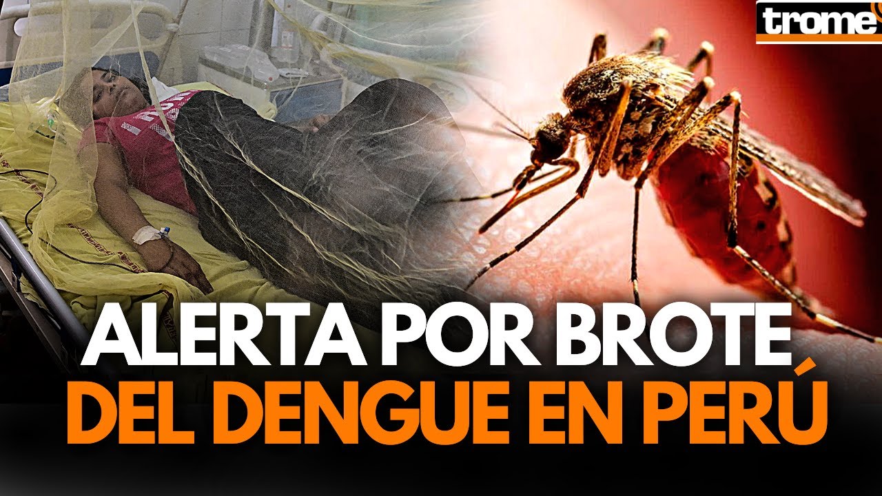 🚨BROTE DE DENGUE EN PER&Uacute;: Alerta por AUMENTO DE CASOS y fallecidos, 20 regiones en EMERGENCIA