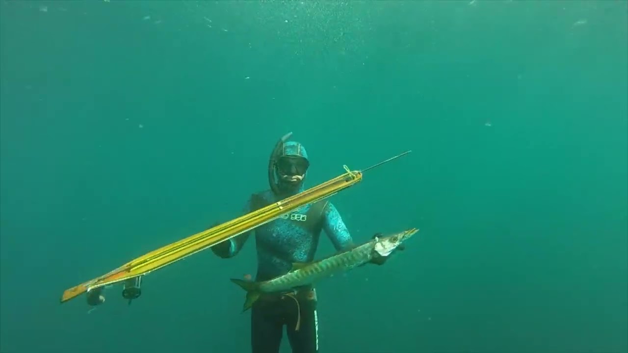 MAGMA Spearguns - Blue Ninja Mono Roller