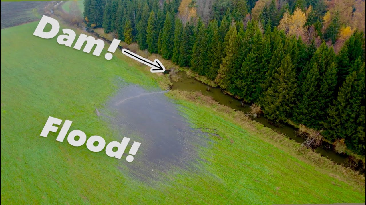 Let's Drain Flooded Lands!