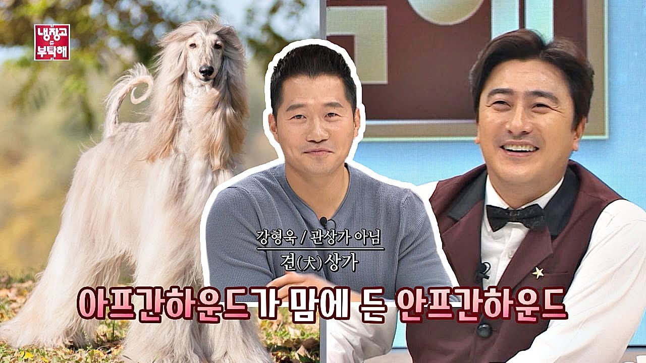 견(犬) 상가 강형욱(Kang Hyung－wook)， 안정환(Ahn jung hwan)과 닮은 개 ＝ 아프간하운드 (닮았다!) 냉장고를 부탁해 223회